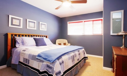 Bài viết nội dung demo 5